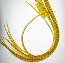 ���� Dry Fly (��� ����� ���) 10 �� ������ ���� ������� , ������ � 16